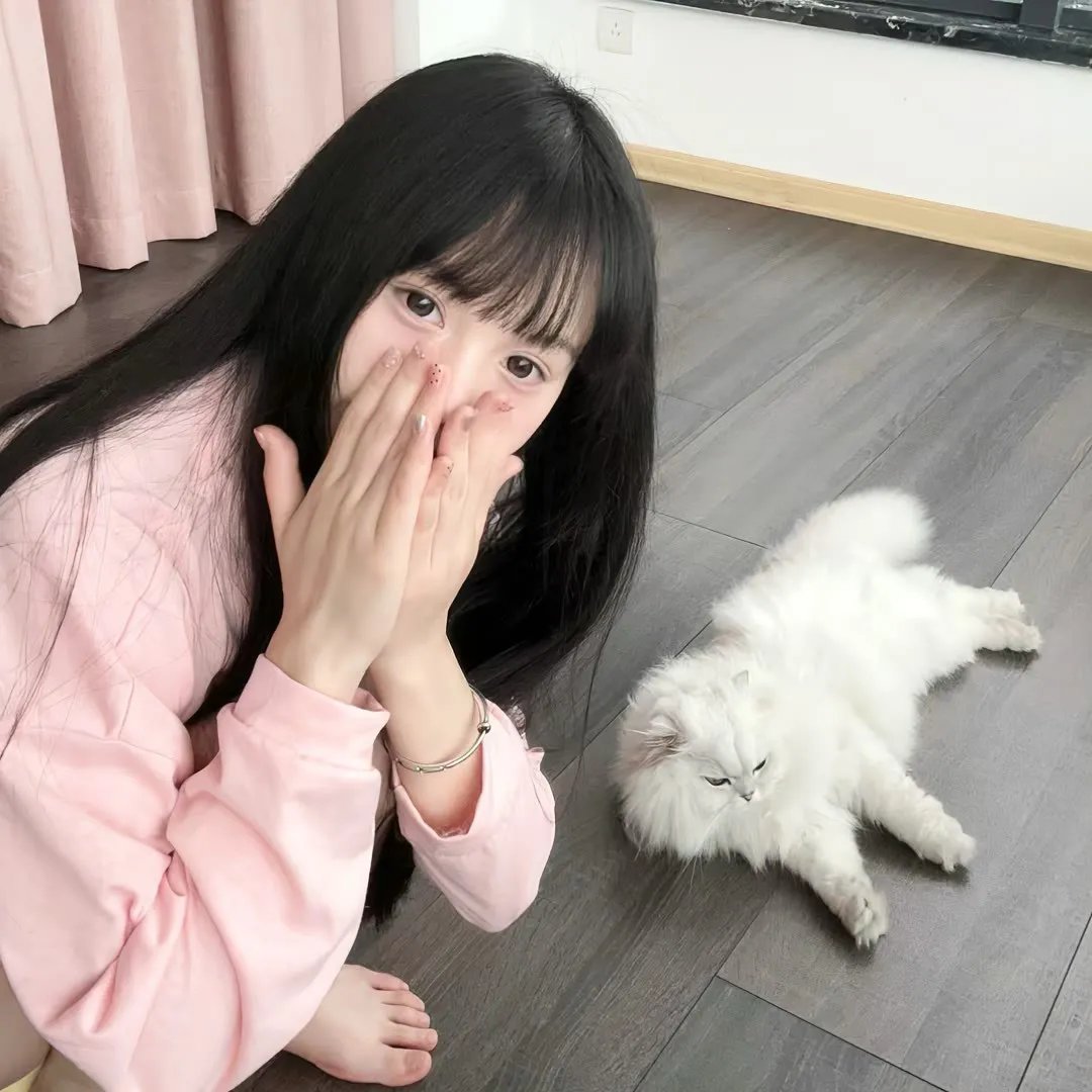 猛龙过沟2